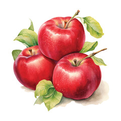Red apple watercolor isolated on white background. Set of healthy fruit apples vector illustration