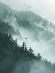 Misty Mountain Landscape with Bird in Flight, Serene Foggy Forest, Tranquil Nature Scene, Atmospheric Wilderness, Peaceful Morning Mist, Majestic Trees, Scenic View, Natural Beauty, Calm Environment