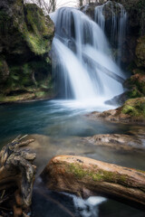 Obraz premium Romania waterfall real no AI, cascading through fallen trees, national park, riverscape
