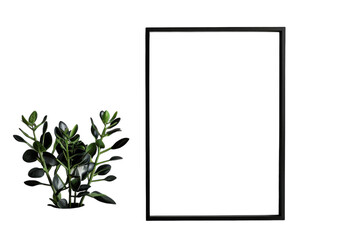 A Single Branch Peeking Out From The Bottom Of A Black Frame Against A White Background