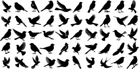 Bird silhouette, black birds shape flying bird icon, bird vector, avian design, nature symbols, wildlife species silhouettes art, animal graphic illustration