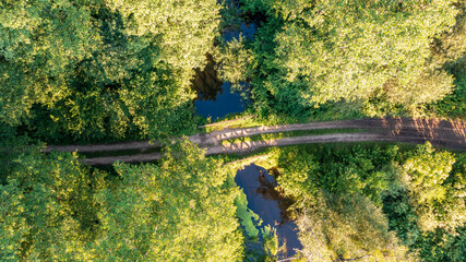 Forest river crosing riparian tree stand