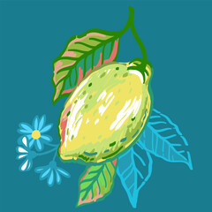 Vector hand drawn illustration of lemon tree branches with fruits, leaves and flowers. Bright sketch illustration of citrus fruit for packaging design