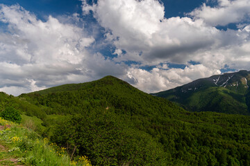 Green hills and forested mountains under blue sky
