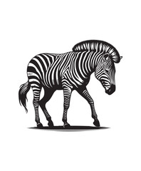zebra vector art,graphics zebras icons set,vintage illustration zebra clipart,vector zebras flat style artwork design