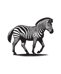 zebra vector art,graphics zebras icons set,vintage illustration zebra clipart,vector zebras flat style artwork design