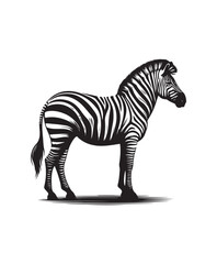 zebra vector art,graphics zebras icons set,vintage illustration zebra clipart,vector zebras flat style artwork design
