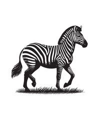 zebra vector art,graphics zebras icons set,vintage illustration zebra clipart,vector zebras flat style artwork design