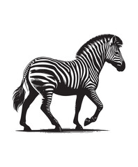 zebra vector art,graphics zebras icons set,vintage illustration zebra clipart,vector zebras flat style artwork design