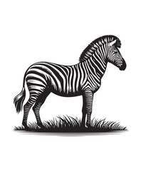 zebra vector art,graphics zebras icons set,vintage illustration zebra clipart,vector zebras flat style artwork design