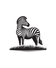 zebra vector art,graphics zebras icons set,vintage illustration zebra clipart,vector zebras flat style artwork design