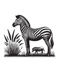 zebra vector art,graphics zebras icons set,vintage illustration zebra clipart,vector zebras flat style artwork design