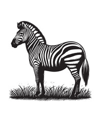 zebra vector art,graphics zebras icons set,vintage illustration zebra clipart,vector zebras flat style artwork design