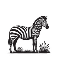 zebra vector art,graphics zebras icons set,vintage illustration zebra clipart,vector zebras flat style artwork design