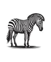 zebra vector art,graphics zebras icons set,vintage illustration zebra clipart,vector zebras flat style artwork design