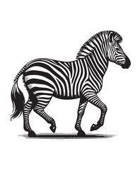 zebra vector art,graphics zebras icons set,vintage illustration zebra clipart,vector zebras flat style artwork design