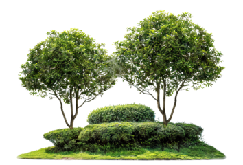 Green park landscape with trees and bushes, cut out