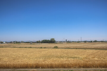 Obraz premium May 14 2024 Picturesque Rolling Fields, Pastoral Landscapes at Saga Countryside