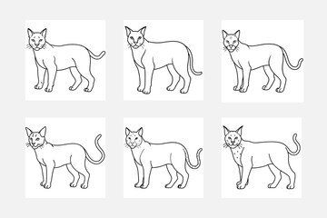 Bobcat Line Art Set: A Perfect Kids Coloring Book Addition
