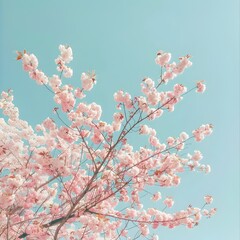 Ethereal and Captivating Cherry Blossom Tree in Full Bloom with Delicate Pale Pink Petals Cascading Against a Pristine Cerulean Sky Captured with the Crisp Sharp of a Professional Grade DSLR