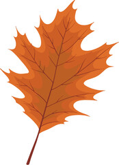 Autumn red leaves illustration vector