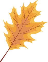 Autumn red leaves illustration vector