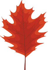 Autumn red leaves illustration vector