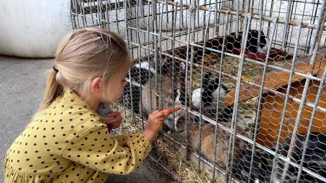 A young girl is feeding guinea pigs inside a cage made of composite material with a mesh fence. The furry pets are kept safe in their enclosure