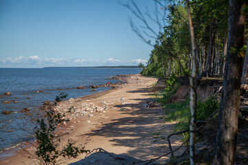 Beautiful Sandy Beach with Rocky Shoreline and Lush Forest