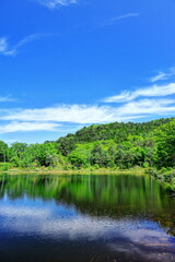 レンゲツツジ咲く志賀高原一沼