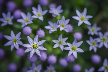 Fototapeta premium Spring starflower flower bokeh background, AI Generated