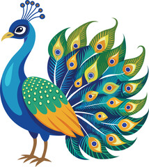 A Vector Drawing of A Beautiful peacock 