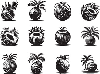 Coconut Fruits	Silhouette Vector Illustration