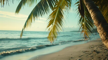 Fototapeta premium Close up of coconut tree on the beach, AI generated Image