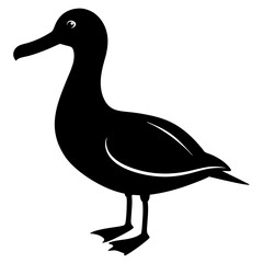 Albatross silhouette vector Illustration with a white background