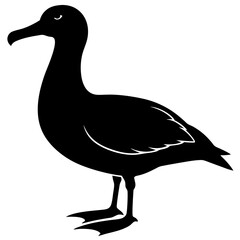 Albatross silhouette vector Illustration with a white background