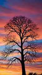 A serene silhouette of a lone tree against a colorful sunset sky, playful style 