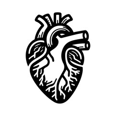 Human heart anatomy flat design