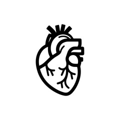 Human heart anatomy flat design