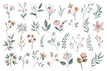 Wild floral watercolor element collection