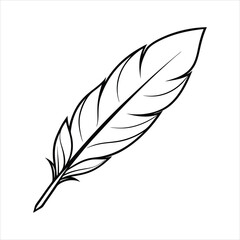 A feather line art vector