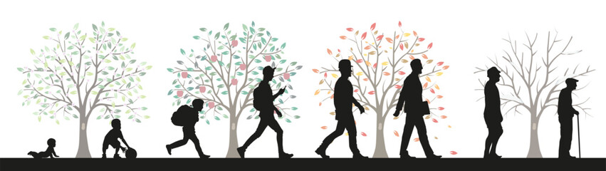 Men, stages of development. Life from birth to old age. A symbol from spring to winter.