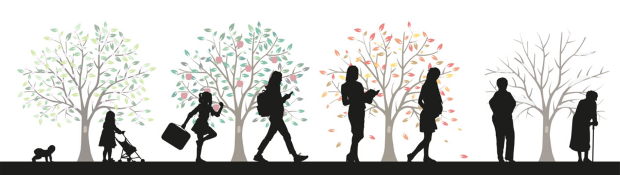 Women, stages of development. Life from birth to old age. A symbol from spring to winter.