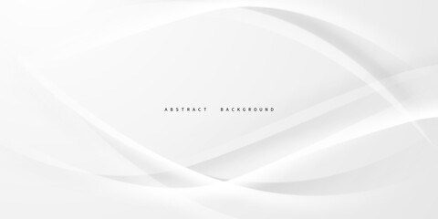 gray and white abstract background modern vector illustration