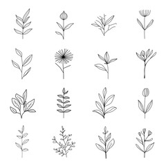 Minimalist flower and flower branches for logos or tattoos. Hand drawn line wedding elements, simple elegant leaves