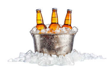 Ice Cold Refreshment: Three chilled bottles of beer nestled in a silver bucket, surrounded by glistening ice cubes, a perfect visual for a thirst-quenching beverage.  