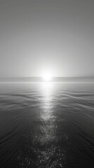 Obraz premium A black-and-white image of the sun sinking into a body of water, with the ocean in the foreground