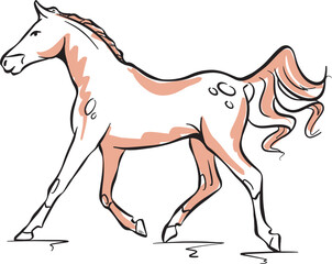 Running horse in line style arabian racehorse. Vector illustration for logo.