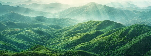  A bird soars above a green mountain range in the foreground