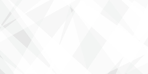 Abstract background with white and gray and geometric style with simple lines and corners with triangles shape design. Banner web template abstract white square shape with futuristic shape design	
